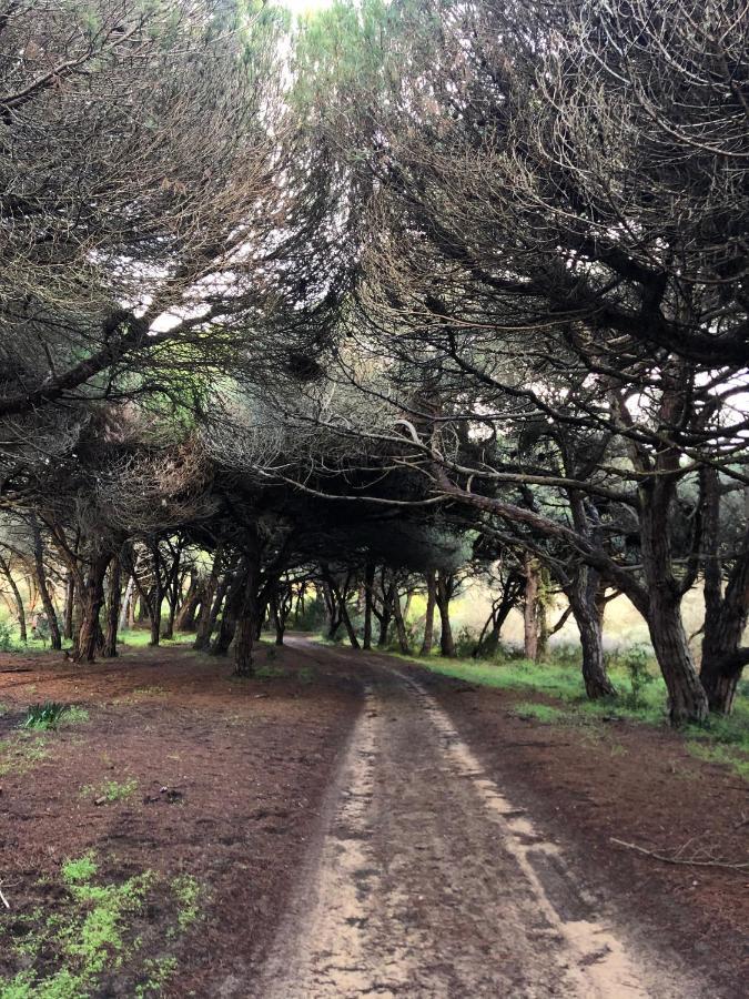 Hortas Do Rio - Casa De Campo Villa Carrapateira Dış mekan fotoğraf